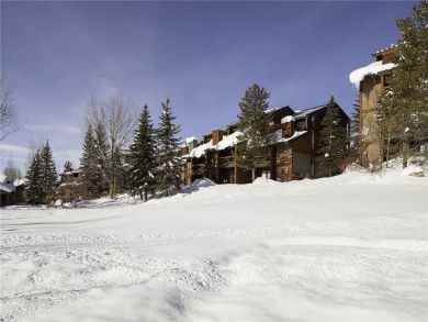 Steamboat Springs Home 927807