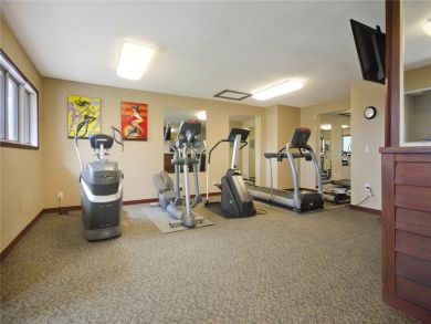 Steamboat Springs Home 927808