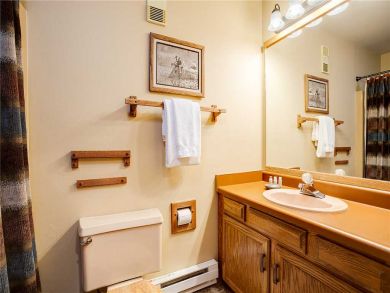 Steamboat Springs Home 927809