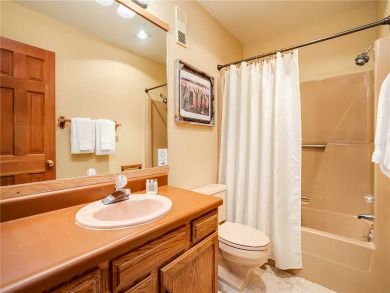 Steamboat Springs Home 927809