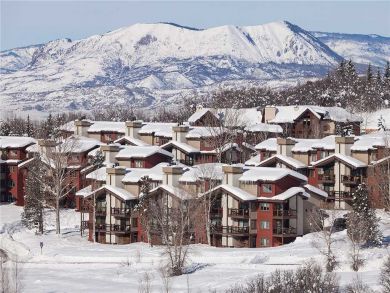 Steamboat Springs Home 927809