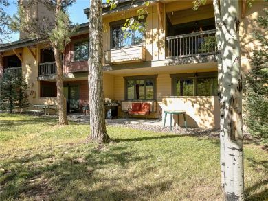 Steamboat Springs Home 927811 Steamboat Springs Home 927811