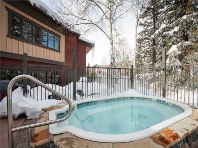 Steamboat Springs Home 927811 Steamboat Springs Home 927811