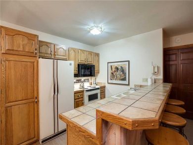 Steamboat Springs Home 927812