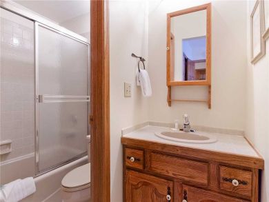 Steamboat Springs Home 927812