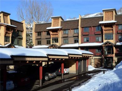 Steamboat Springs Home 927812