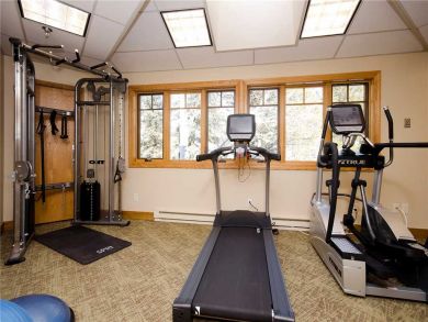 Steamboat Springs Home 927812
