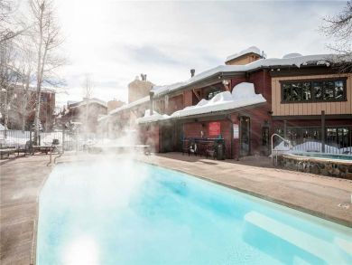 Steamboat Springs Home 927812