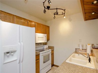 Steamboat Springs Home 927813