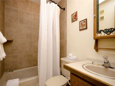 Steamboat Springs Home 927813