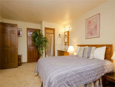 Steamboat Springs Home 927813