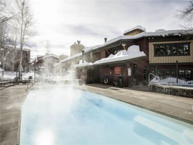 Steamboat Springs Home 927813