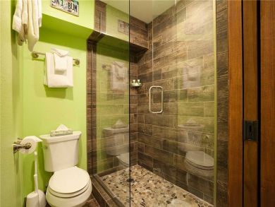 Steamboat Springs Home 927815