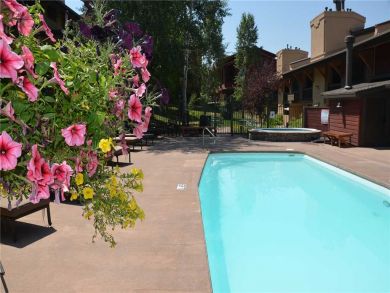 Steamboat Springs Home 927816 Steamboat Springs Home 927816