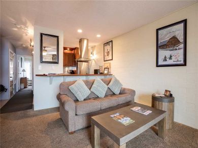 Steamboat Springs Home 927817