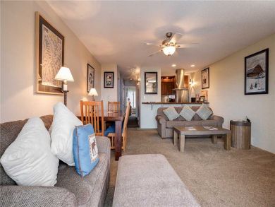Steamboat Springs Home 927817