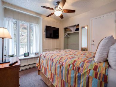 Steamboat Springs Home 927817