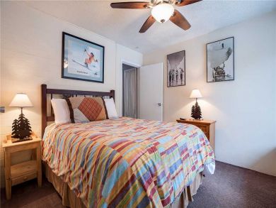 Steamboat Springs Home 927817