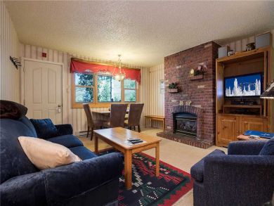Steamboat Springs Home 927818