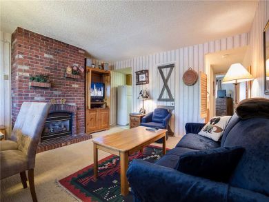 Steamboat Springs Home 927818