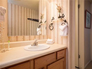 Steamboat Springs Home 927818