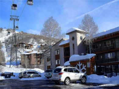 Steamboat Springs Home 927818