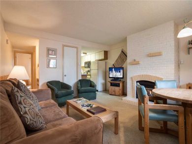 Steamboat Springs Home 927819