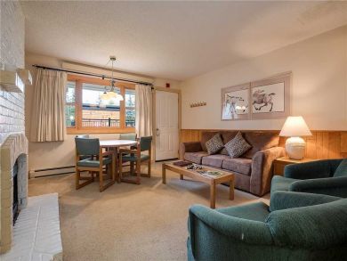 Steamboat Springs Home 927819