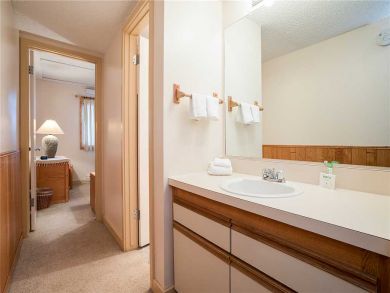 Steamboat Springs Home 927819