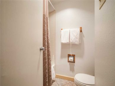 Steamboat Springs Home 927819