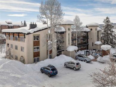 Steamboat Springs Home 927819