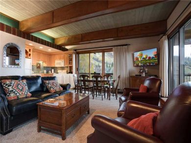 Steamboat Springs Home 927820