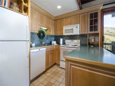 Steamboat Springs Home 927820