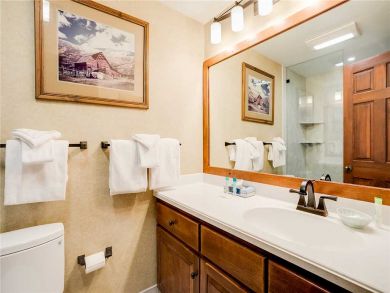Steamboat Springs Home 927820