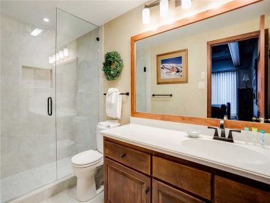 Steamboat Springs Home 927820