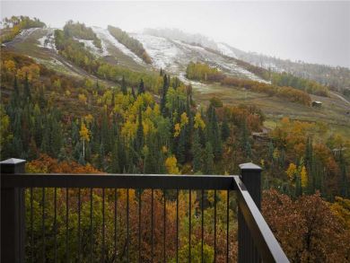 Steamboat Springs Home 927820