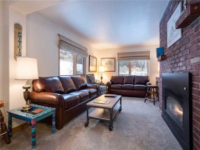 Steamboat Springs Home 927822