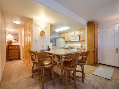 Steamboat Springs Home 927822