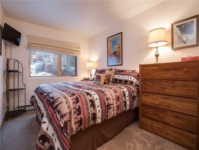 Steamboat Springs Home 927822