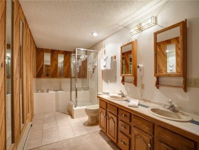 Steamboat Springs Home 927823