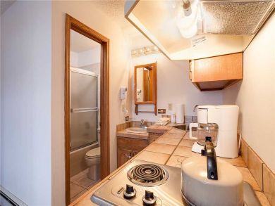 Steamboat Springs Home 927823