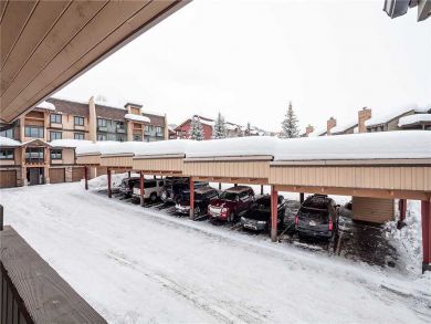 Steamboat Springs Home 927823