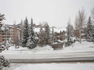 Steamboat Springs Home 927823