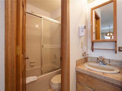 Steamboat Springs Home 927823