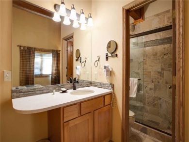 Steamboat Springs Home 927824