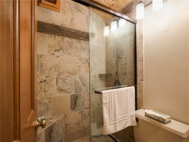 Steamboat Springs Home 927824