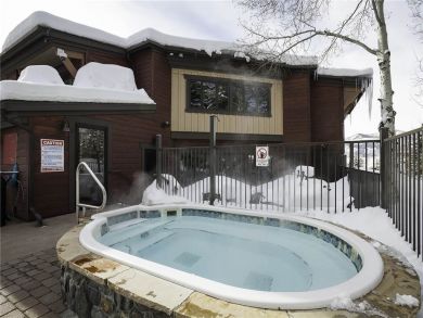 Steamboat Springs Home 927824