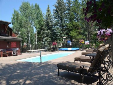 Steamboat Springs Home 927824