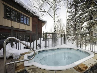Steamboat Springs Home 927824