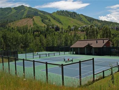 Steamboat Springs Home 927826